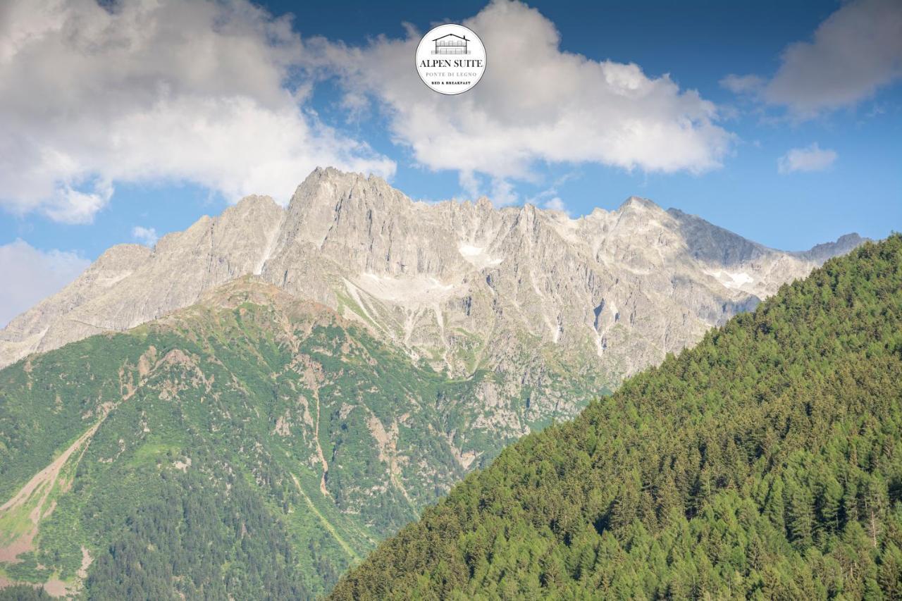 B&B Alpen Suite Понте-ді-Леньо Екстер'єр фото